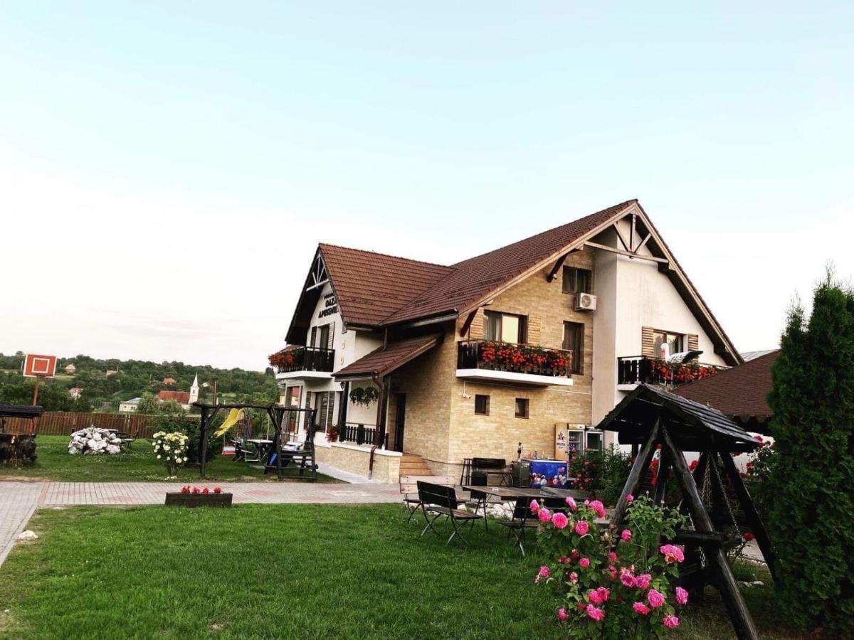 Oaza Apusenilor Villa Calarasi  Exterior photo